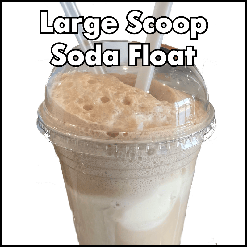 Large Scoop Soda Float